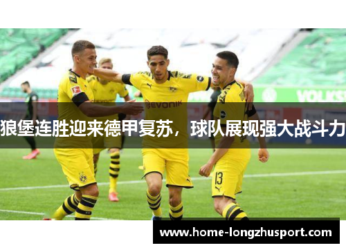 狼堡连胜迎来德甲复苏，球队展现强大战斗力